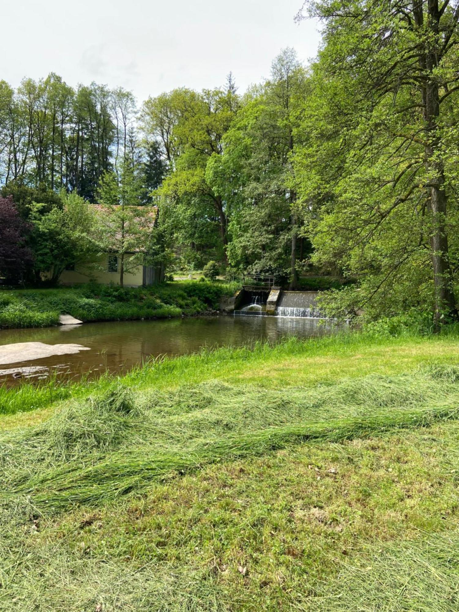 Landgasthof Kahrmühle Pressath Dış mekan fotoğraf